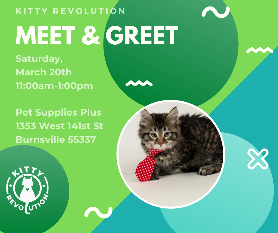 Events Kitty Revolution